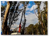 seguridad_4